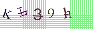 CAPTCHA code