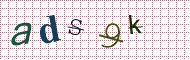 CAPTCHA code